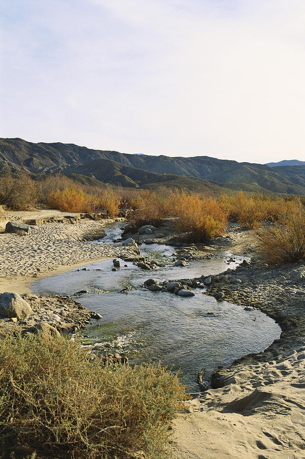 California Desert River Photograph by David Weintraub