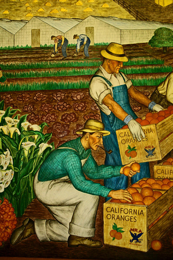 California Farmers Photograph by Joseph Coulombe