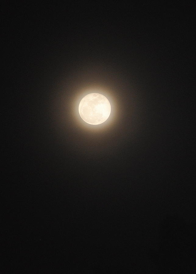California Full Moon Photograph by Lisa Holland-Gillem