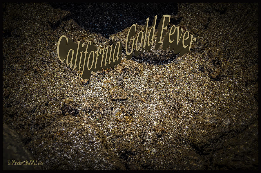 California Gold Fever Photograph by LeeAnn McLaneGoetz McLaneGoetzStudioLLCcom