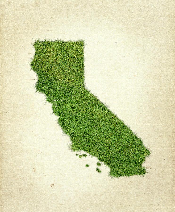 California Map Photograph - California Grass Map by Aged Pixel