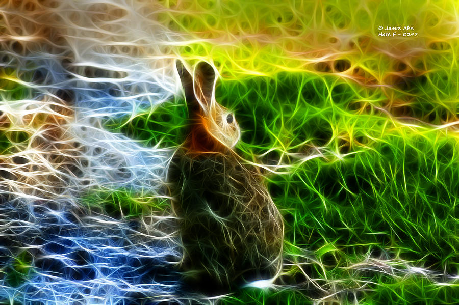 California Hare - 0297 Digital Art by James Ahn