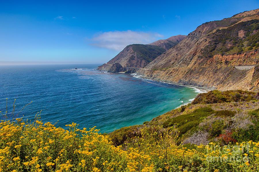 California Highway 1 Vista Point Photograph by Mimi Ditchie
