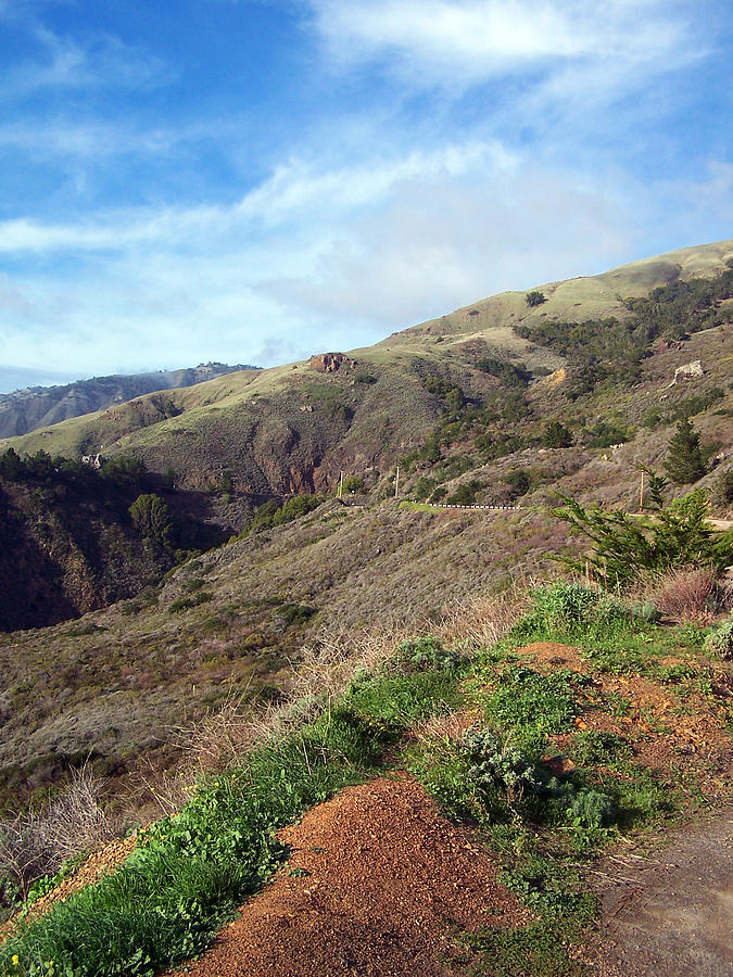California Hillside Photograph by Jennifer Robin