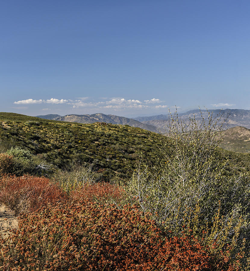 California Landscape Photograph by Marianne Campolongo