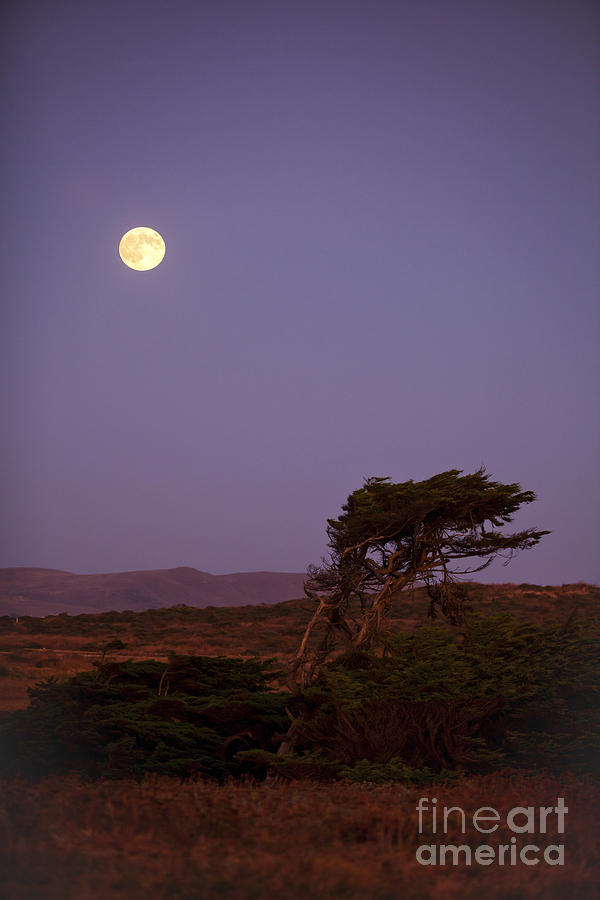 California Moon Photograph