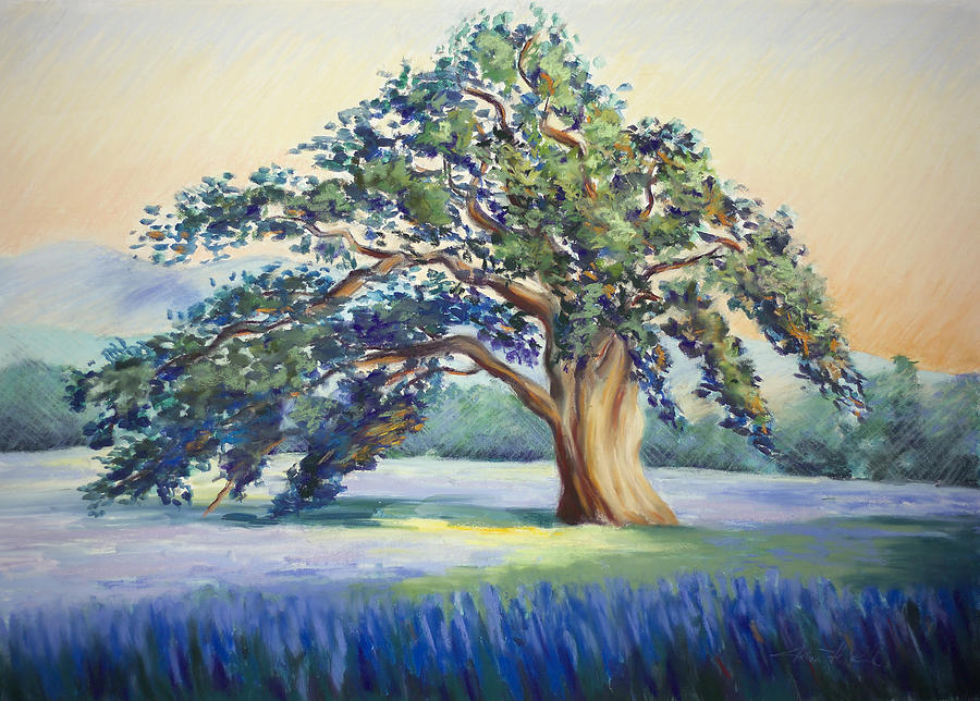 California Oak Pastel - California Oak by Karin  Leonard