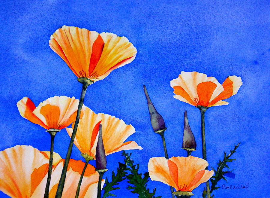 Flower Painting - California Poppies I by Eva Nichols