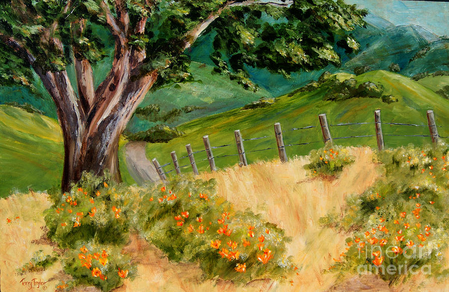 Flower Painting - California Poppies by Terry Taylor