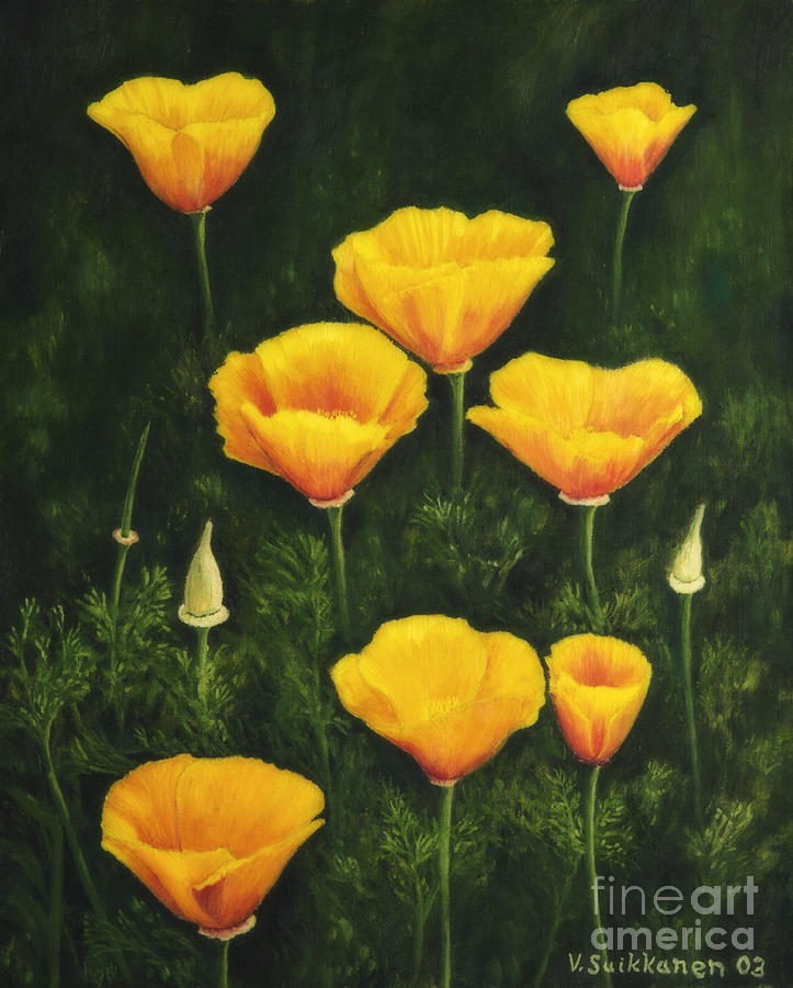 Nature Painting - California poppy by Veikko Suikkanen