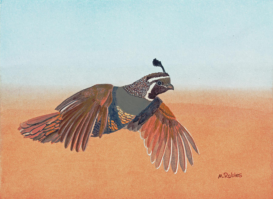 California Quail Painting by Mike Robles