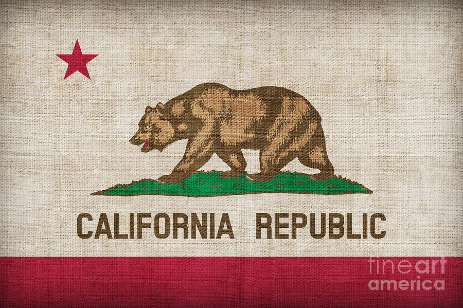 Flag Painting - California State flag by Pixel Chimp