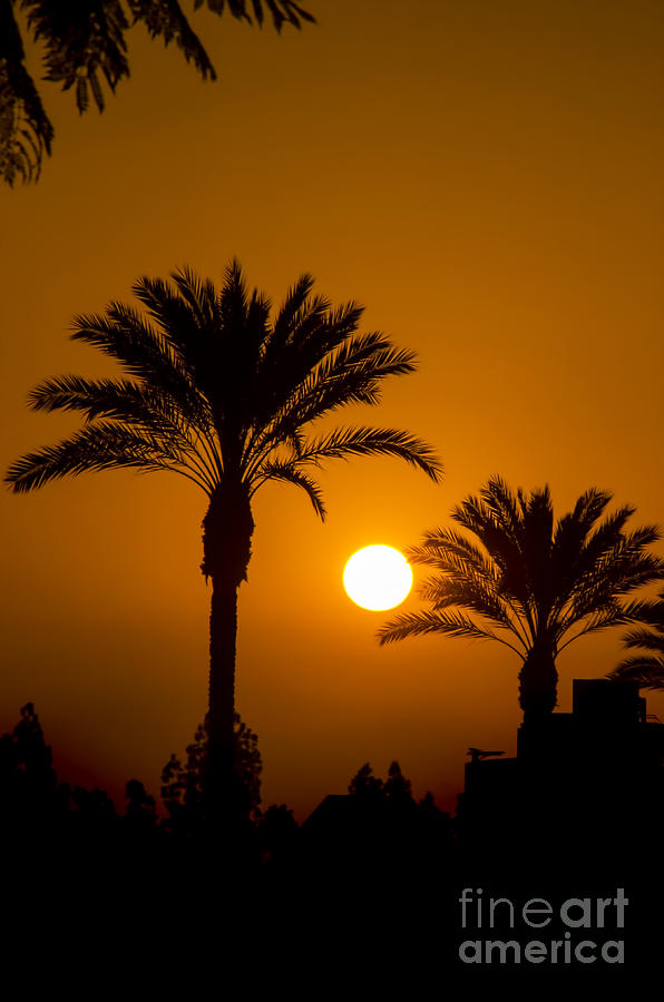 California Sunrise Photograph by Norma Warden