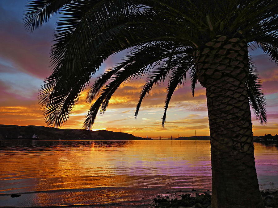 Sunset Photograph - California Sunset by Brian Maloney