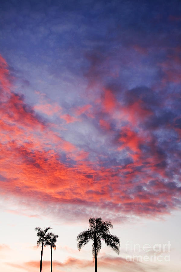 California Sunset Photograph by Gabriele Pomykaj