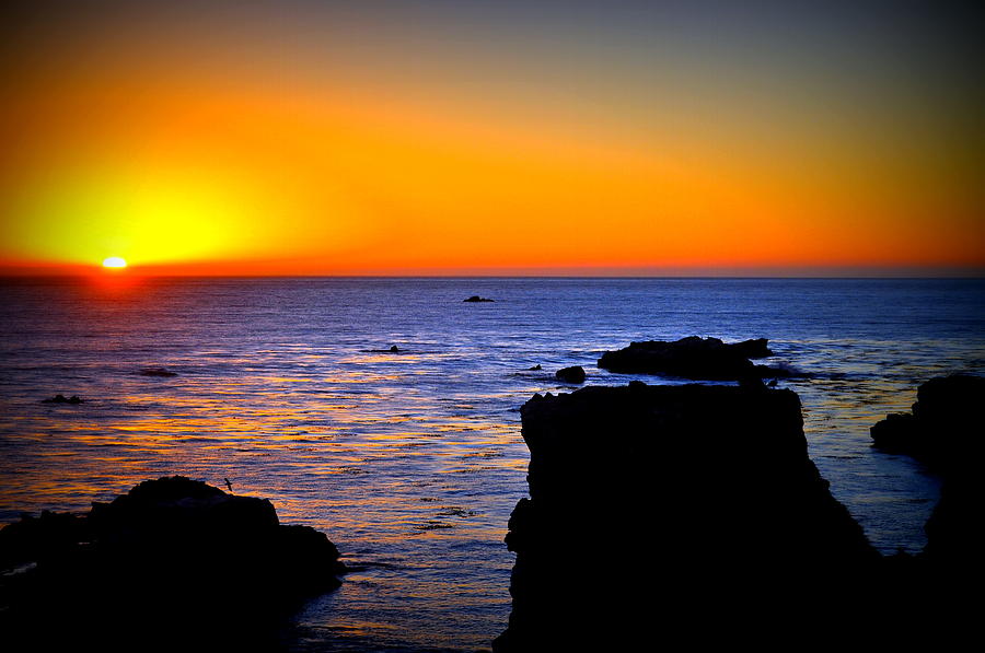 Sunset Photograph - California Sunset by Lisa Holland-Gillem