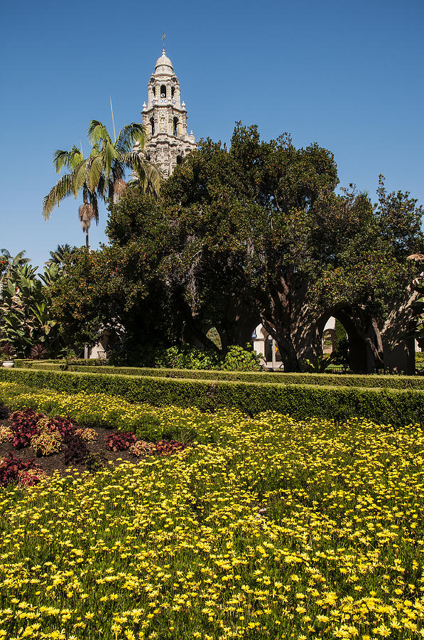 Flower Photograph - California Tower and Alcazar Gardens at Balboa Park by Lee Kirchhevel