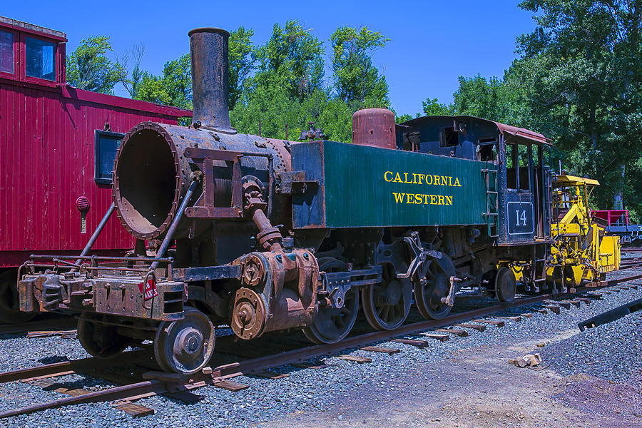 Train Photograph - California Western Number 14 by Garry Gay
