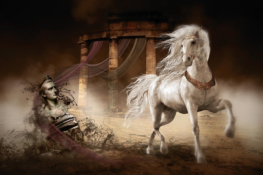 Caligulas Horse Digital Art by Shanina Conway