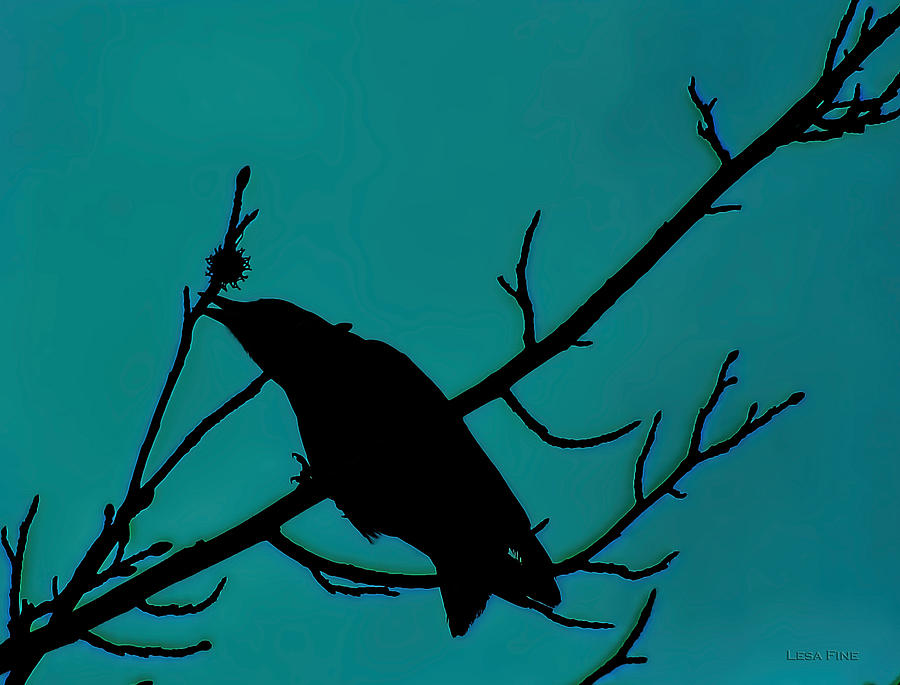 Crow Mixed Media - Call of the Crow on Aqua 2 by Lesa Fine