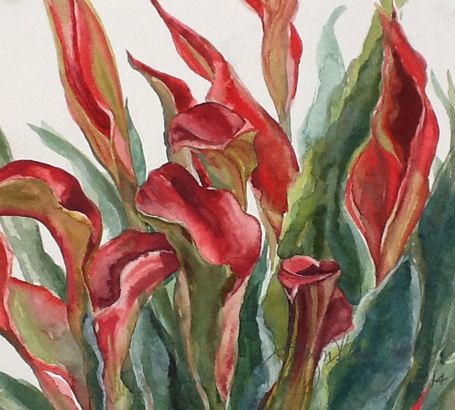 Flower Painting - Calla Lilies by Caron Sloan Zuger
