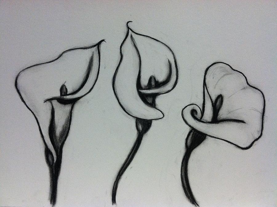 Calla Lilies Drawing by Hae Kim