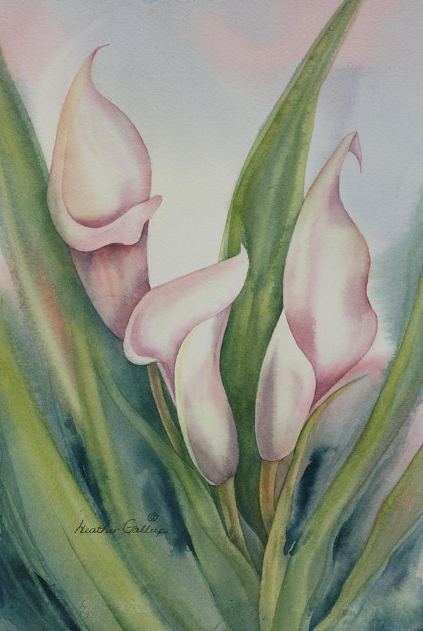 Calla Lilies Painting - Calla Lilies by Heather Gallup