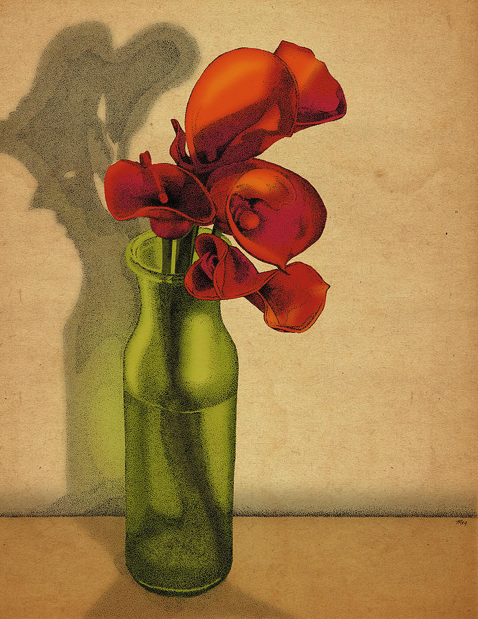 Calla Lilies in Bloom Drawing by Meg Shearer