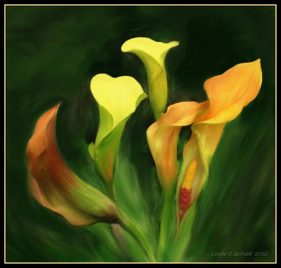 Calla Lilies Painting by Linda Seifried