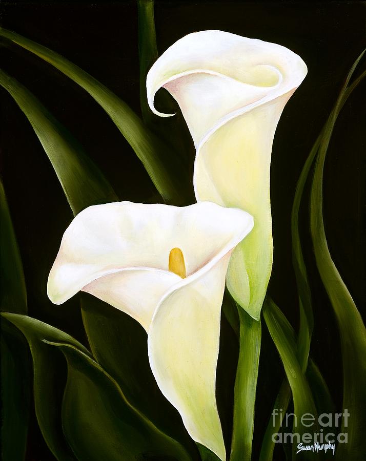 Calla Lilies Painting by Susan Murphy - Fine Art America