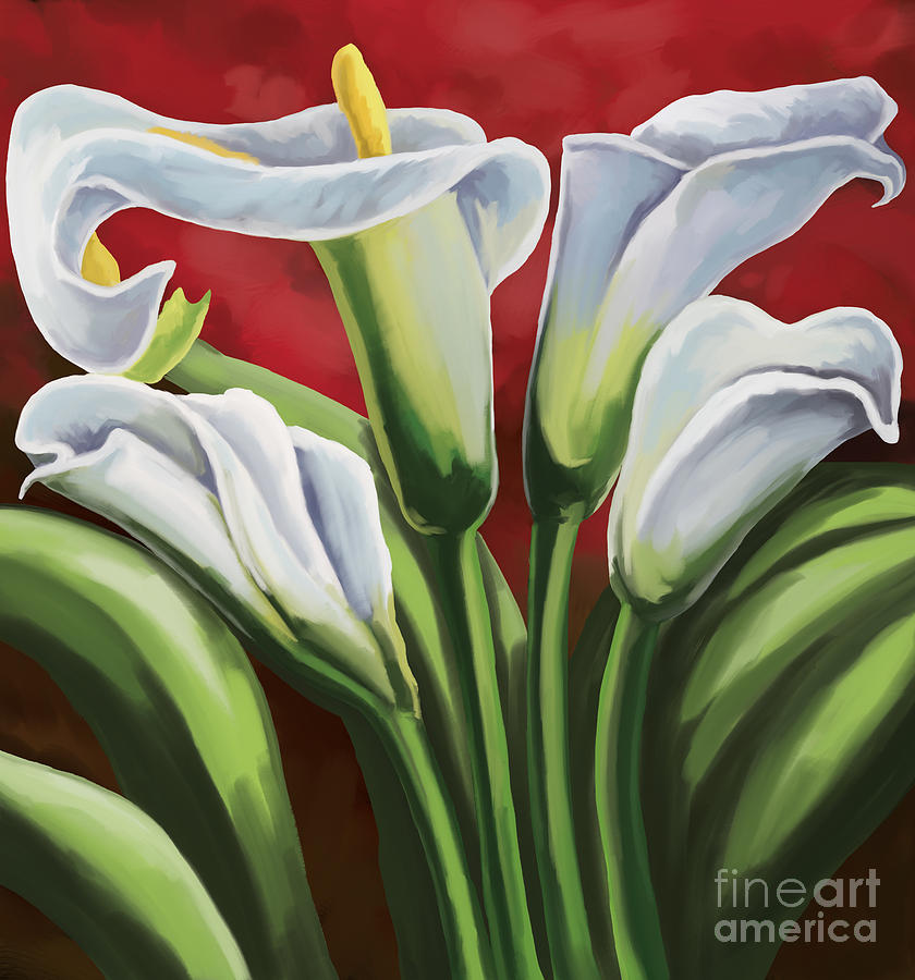Calla Lilies  Painting by Tim Gilliland