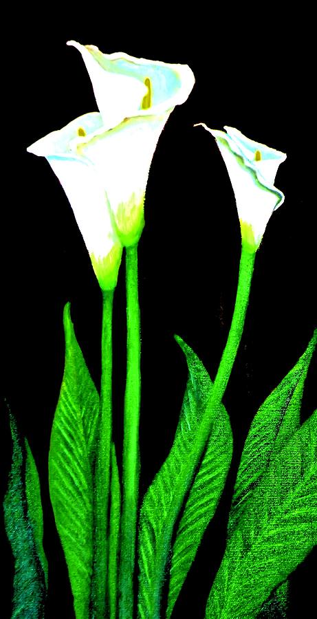 Calla Lilies Painting by Victoria Rhodehouse