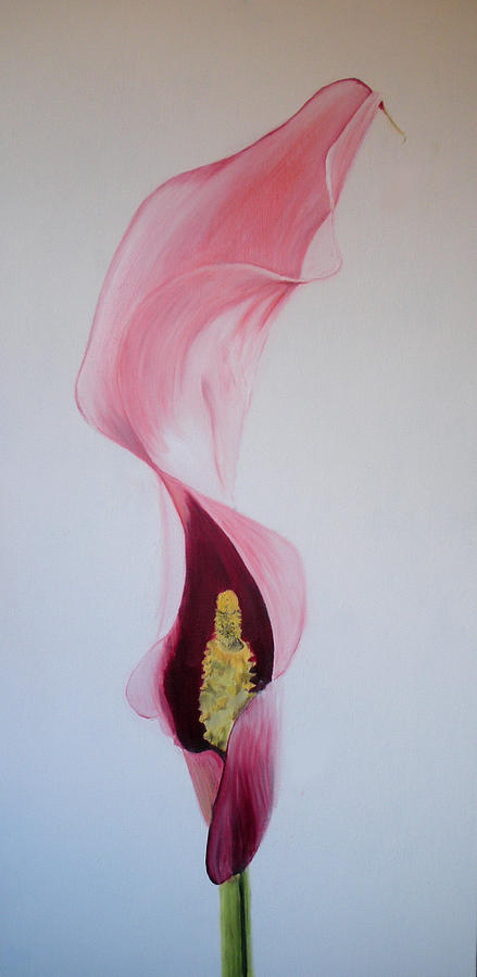 Calla Lilli Painting by Claudia Goodell