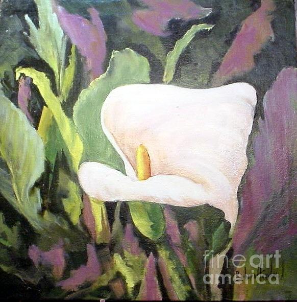 Calla Lily Painting by Barbara Haviland