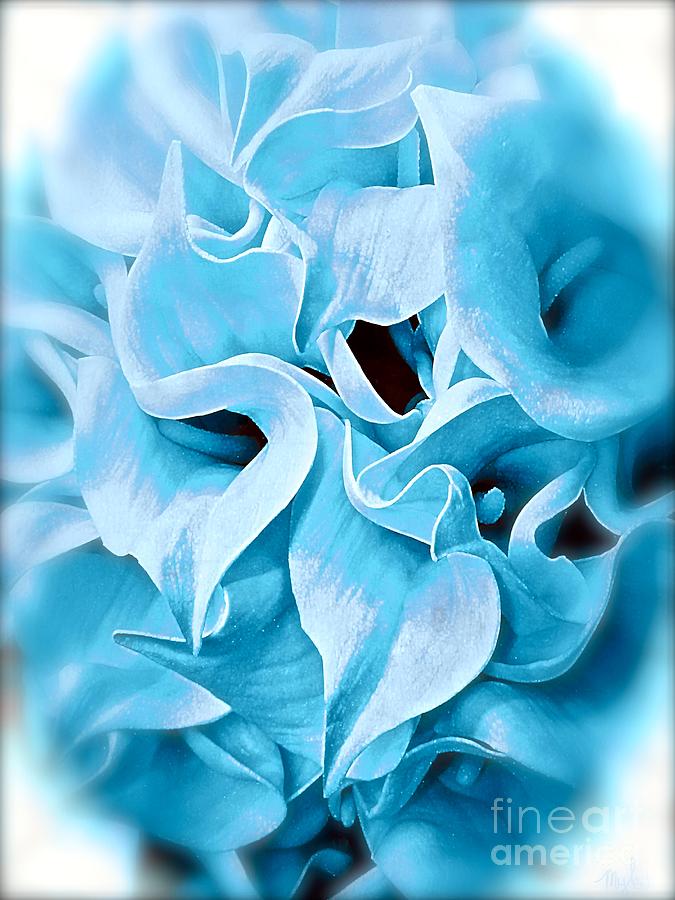 Calla Lily Icy Blue Painting by Saundra Myles