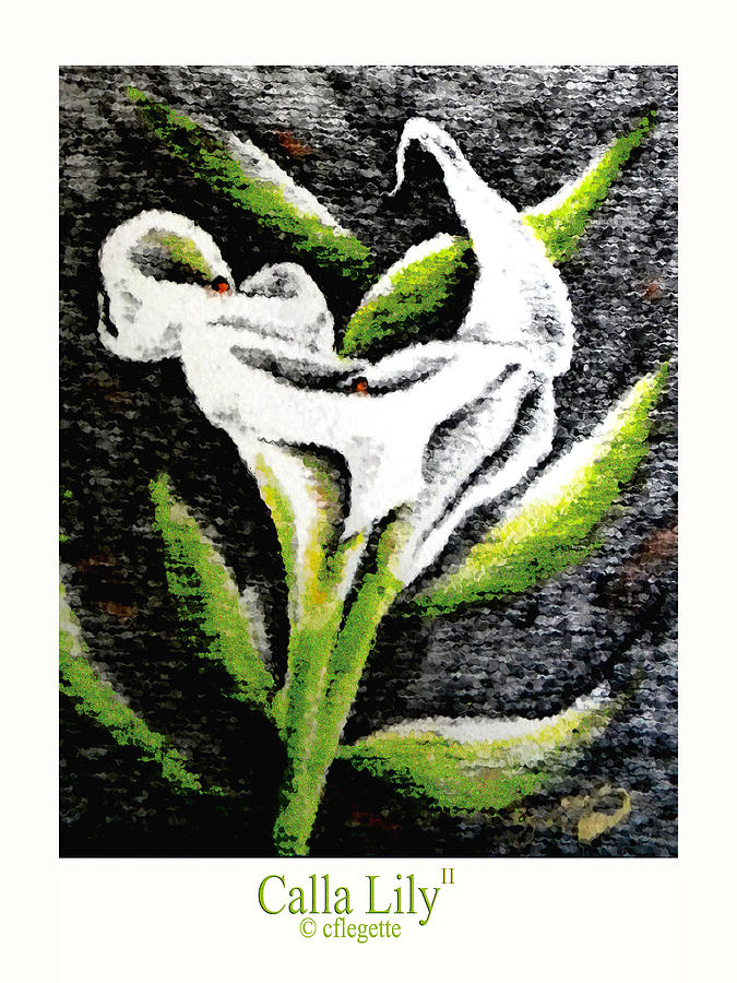 Calla Lily II Drawing by C F Legette