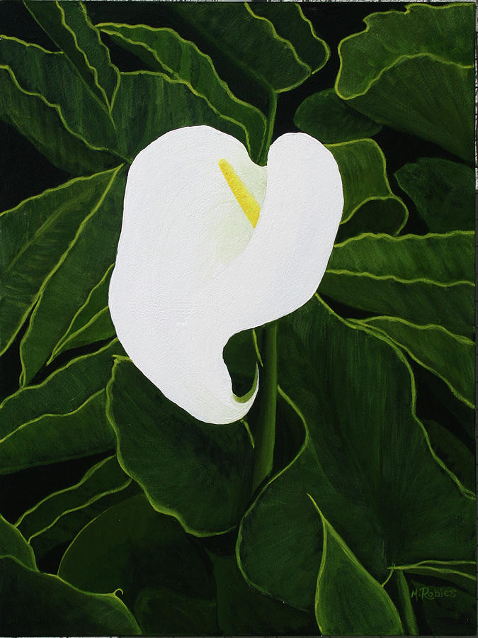 Calla Lily Painting by Mike Robles