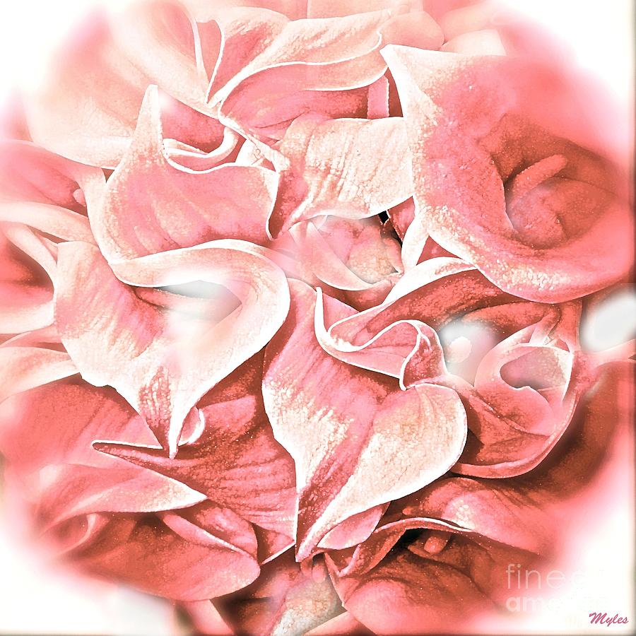 Calla Lily Pink Impression Painting by Saundra Myles