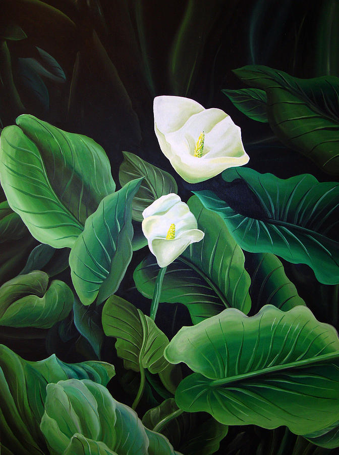 Calla Lily Painting by William Love
