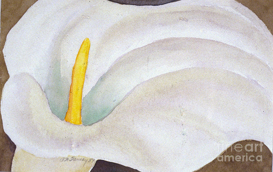 Calla1 Painting by Patricia Tierney