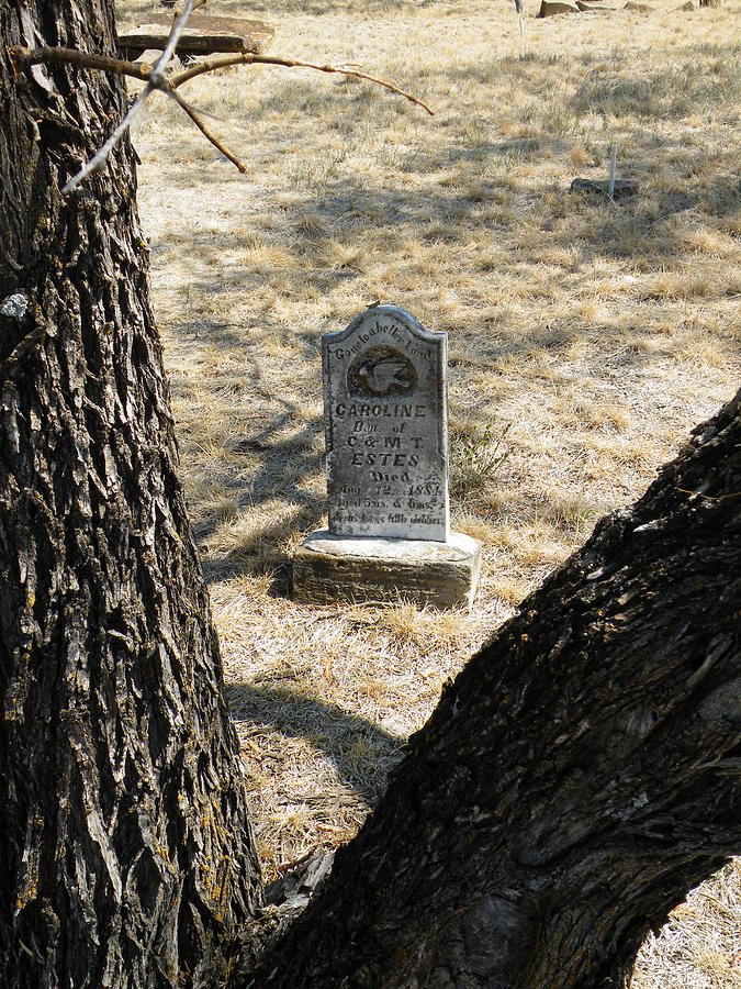 Callahan City Texas Cemetery Gone To A Better Land Photograph by The GYPSY and Mad Hatter