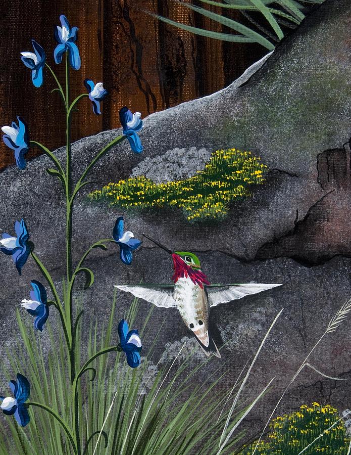 Calliope Hummingbird Painting by Jennifer Lake