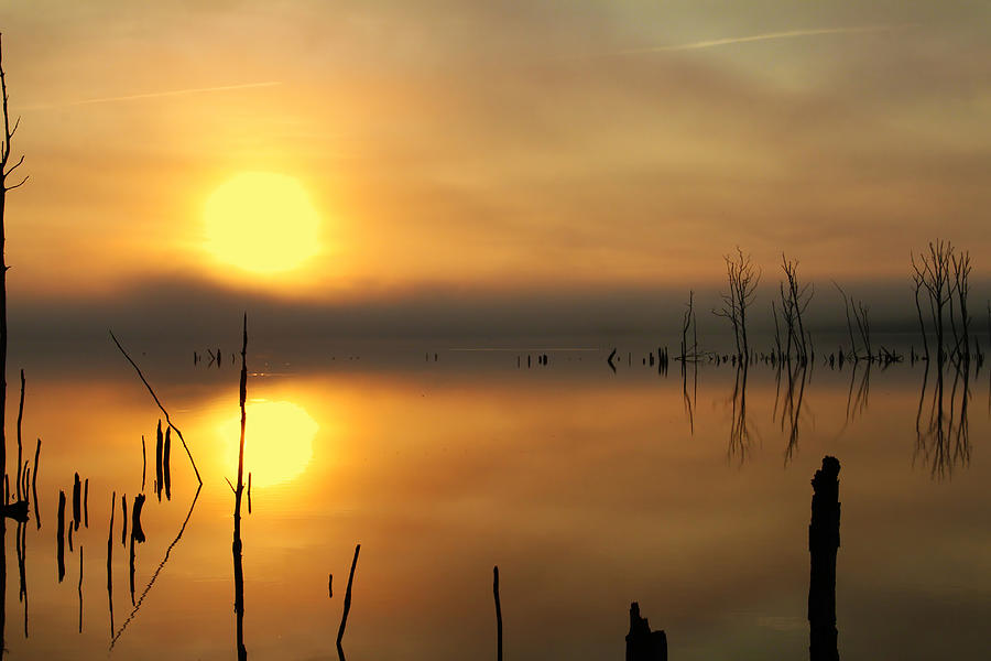 Calm at Dawn Photograph by Roger Becker