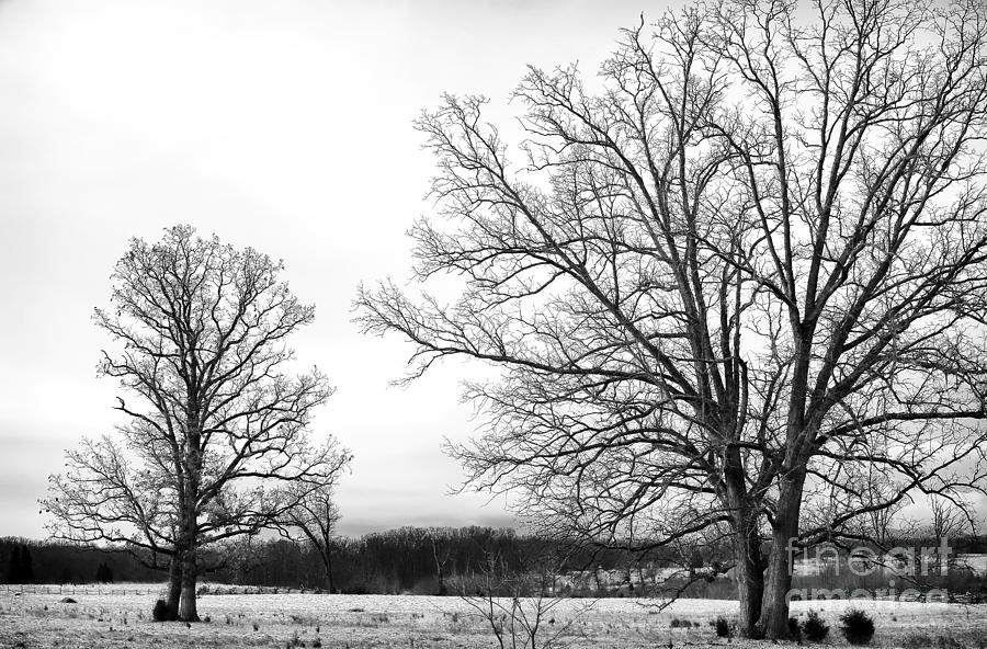 Calm at Gettysburg Photograph by John Rizzuto