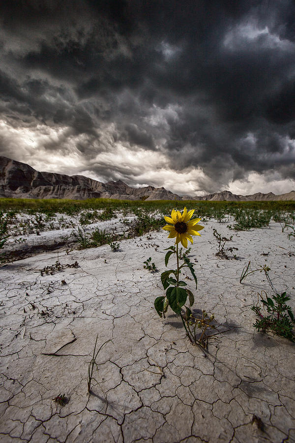 Calm Before The Storm Photograph by Aaron J Groen