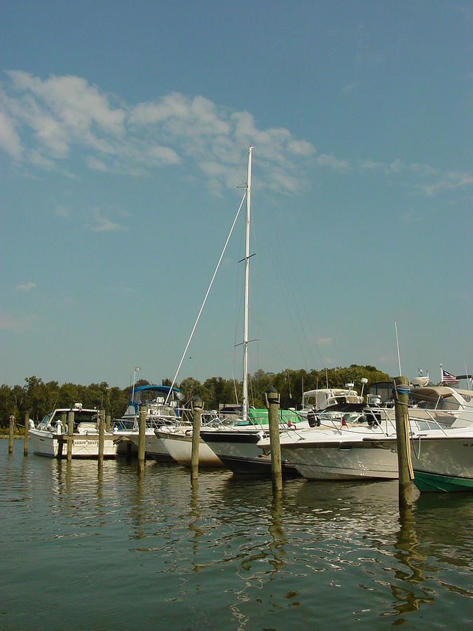 Calm Day at the Marina Photograph by Dorothy Maier