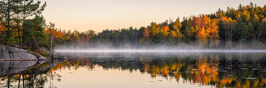 Calm lake in the forest Photograph by Martin Wahlborg