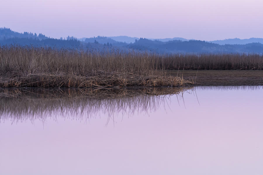 Calm on the Marsh Photograph by Belinda Greb