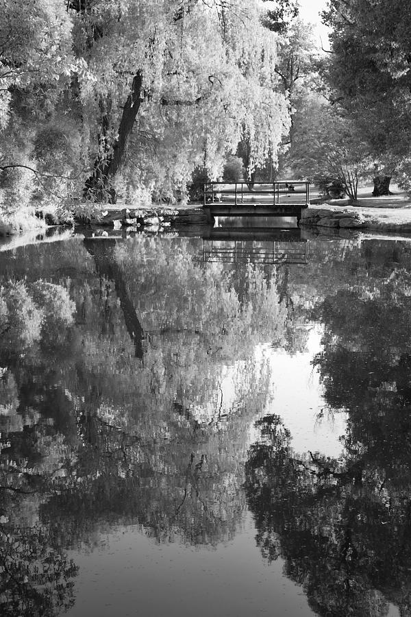 Calm Reflection Photograph by Eunice Gibb