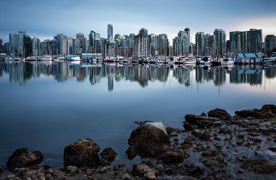 Calm Reflections Of Vancouver Photograph by Alexis Birkill